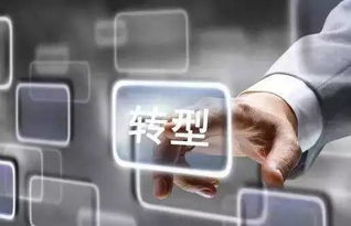 大象也跳舞 传统企业人力资源的转型与变革